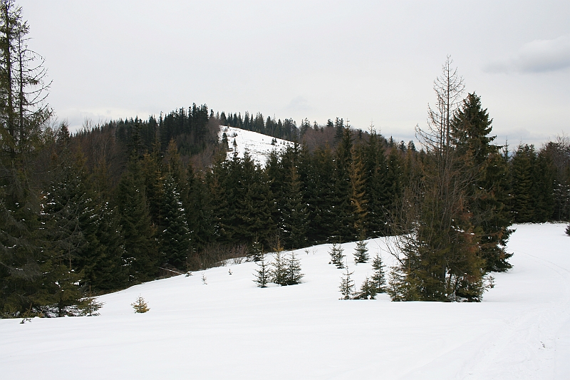 Turbacz 22.03.08 026